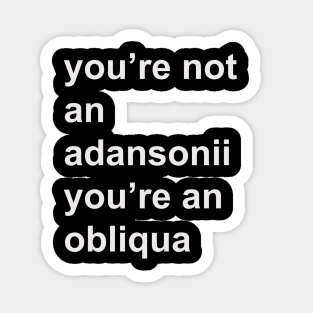 You're not an adansonii you're an obliqua Sticker